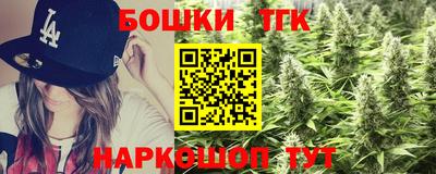 индика Аша
