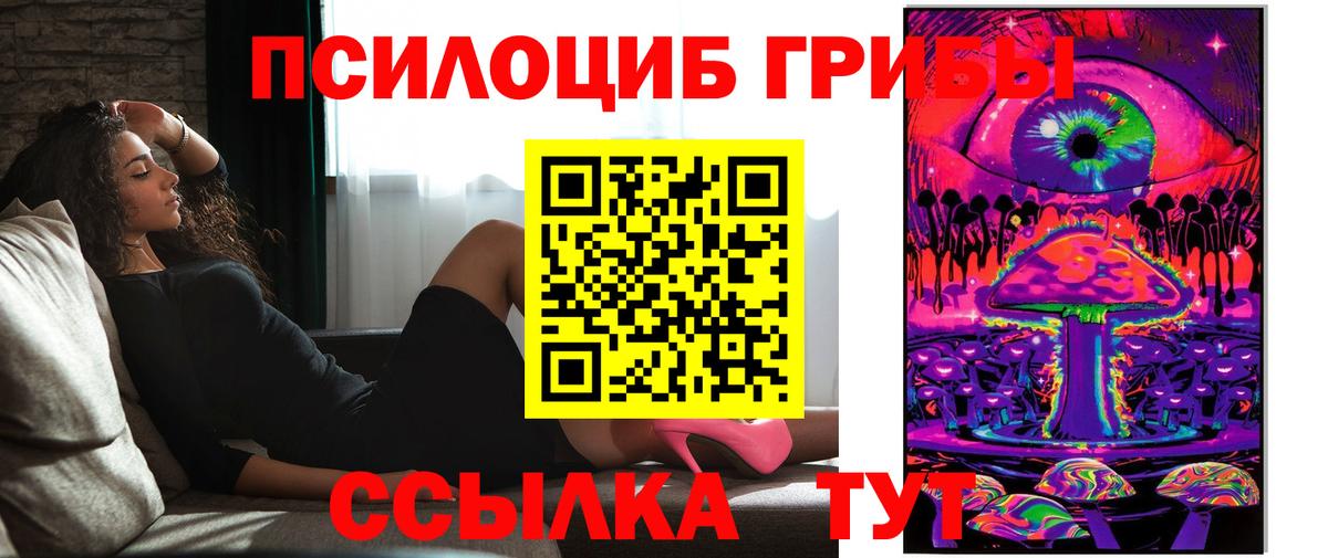 Галлюциногенные грибы Psilocybine cubensis  Псилоцибиновые грибы мицелий  Вход с VPN  Кириши 
